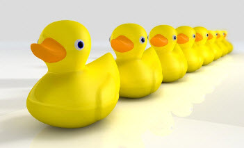 My ducks are lining up